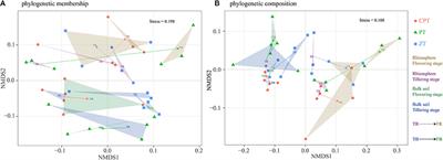 Fungal Communities in Rhizosphere Soil under Conservation Tillage Shift in Response to Plant Growth